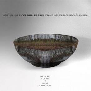 Madera, Cuerpo Y Unas Campanas (Colegiales Trío) album cover