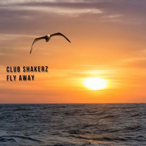 Fly Away album cover
