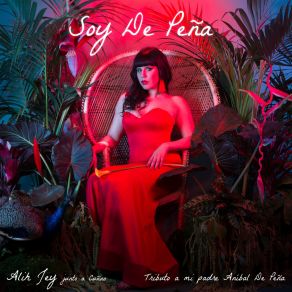 Soy De Peña album cover