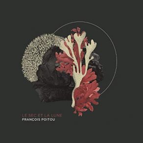 Le Sec Et La Lune album cover