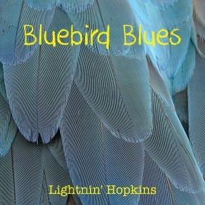 Bluebird Blues album cover