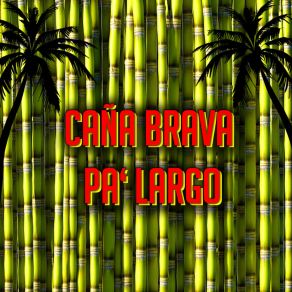 Pa´Largo album cover