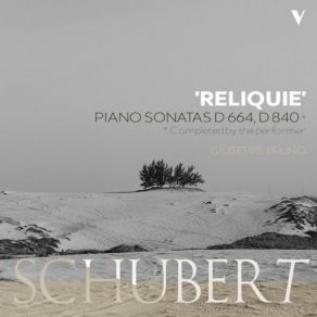 Schubert: Piano Sonata No. 13, D. 664 & No. 15, D. 840 " Reliquie " album cover