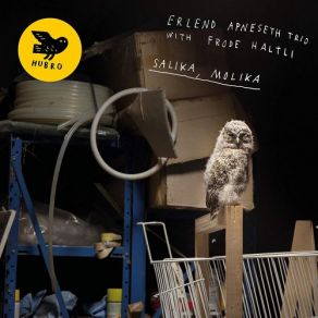 Salika, Molika album cover