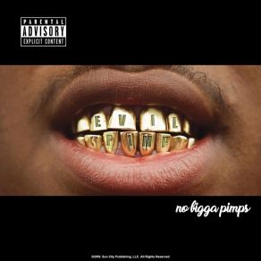 No Bigga Pimps album cover