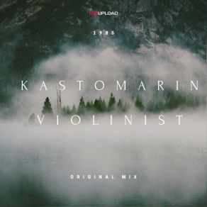 Violinist album cover