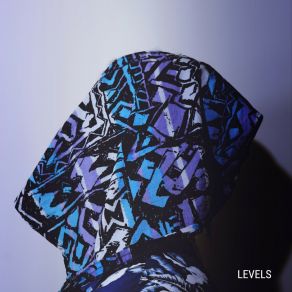Levels album cover