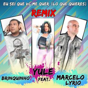 Eu Sei Que Você Me Quer (Remix) album cover