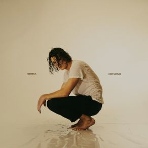 Honestly, album cover