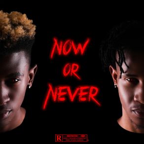 Now Or Never album cover