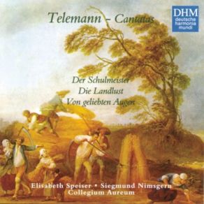 40 Years DHM - Telemann: Three Secular Cantatas album cover