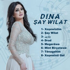 Say Wılat album cover