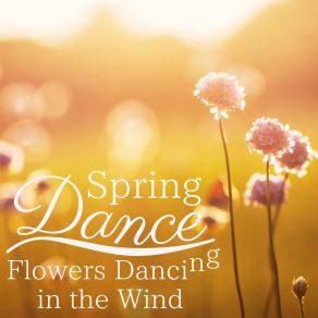 Spring Dance (Flowers Dancing In The Wind) album cover