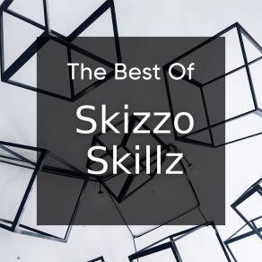 The Best Of Skizzo Skillz album cover