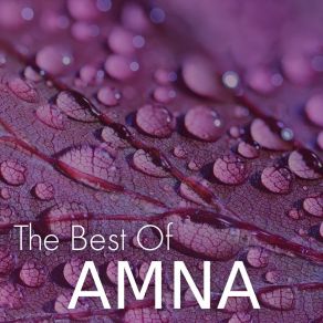 The Best Of AMNA album cover