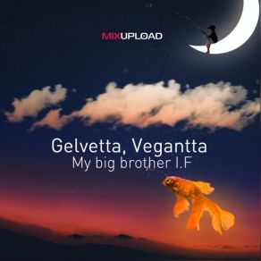 My Big Brother I. F album cover
