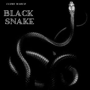 Black Snake (Original Mix) album cover