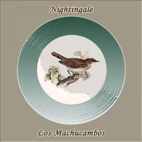 Nightingale album cover