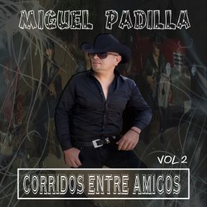 Corridos Entre Amigos, Vol. 2 album cover