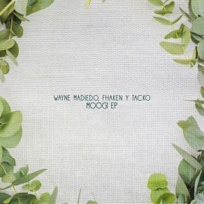 Moogi album cover