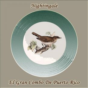 Nightingale album cover