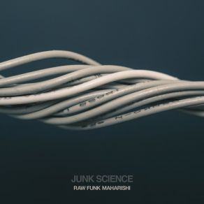 Junk Science album cover