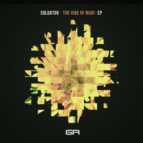 The Vibe Of Night album cover