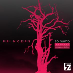 So Numb Remixes album cover