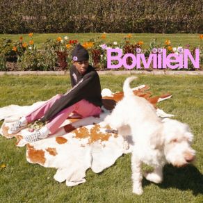 BoiVIILEIN album cover