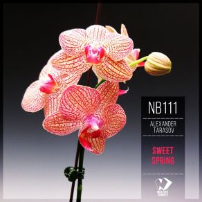 Sweet Spring (Original Mix) album cover