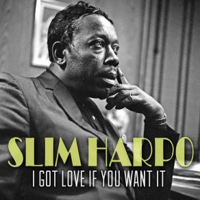 I Got Love If You Want It album cover