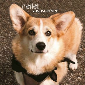 Vagusnerven album cover
