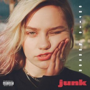 Junk album cover