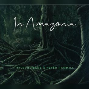 In Amazonia album cover