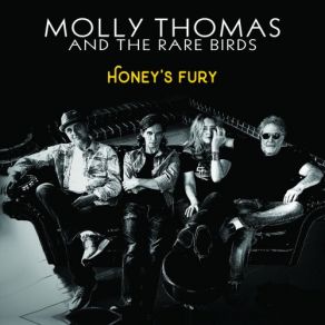 Honey's Fury album cover