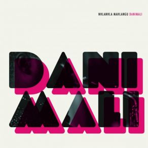 Nhlanhla Mahlangu Danimali album cover