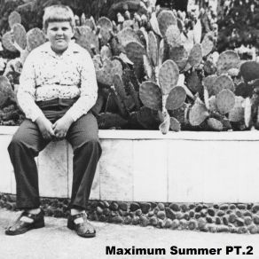 Maximum Summer, Pt. 2 album cover
