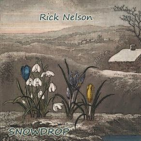 Snowdrop album cover