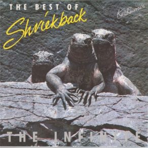 The Best Of Shriekback: The Infinite album cover