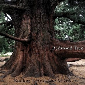 Redwood Tree album cover