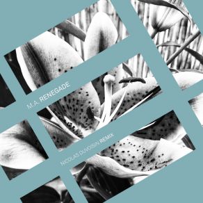 Renegade - EP (Nicolas Duvoisin Remix) album cover