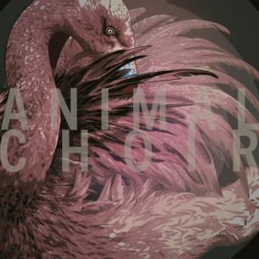 Animal Choir album cover