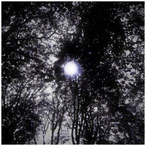 Elektrical Aktivity 5 album cover