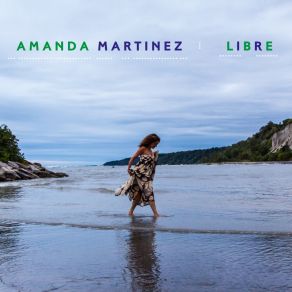 Libre album cover