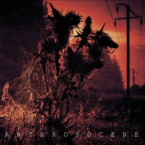 Anthropocene album cover