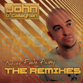 Never Fade Away (The Remixes) album cover