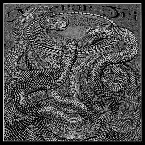 Venenum album cover
