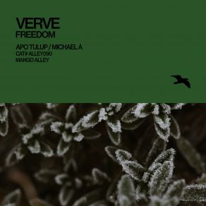 Freedom album cover