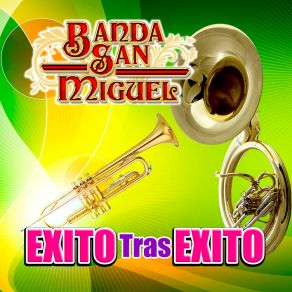 Exito Tras Exito album cover