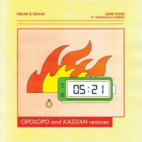 24HR Fling (Remixes) album cover